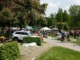 Die Idylle auf dem Pforzheimer Gruschtelmarkt 2019 im Enzauenpark trügt etwas