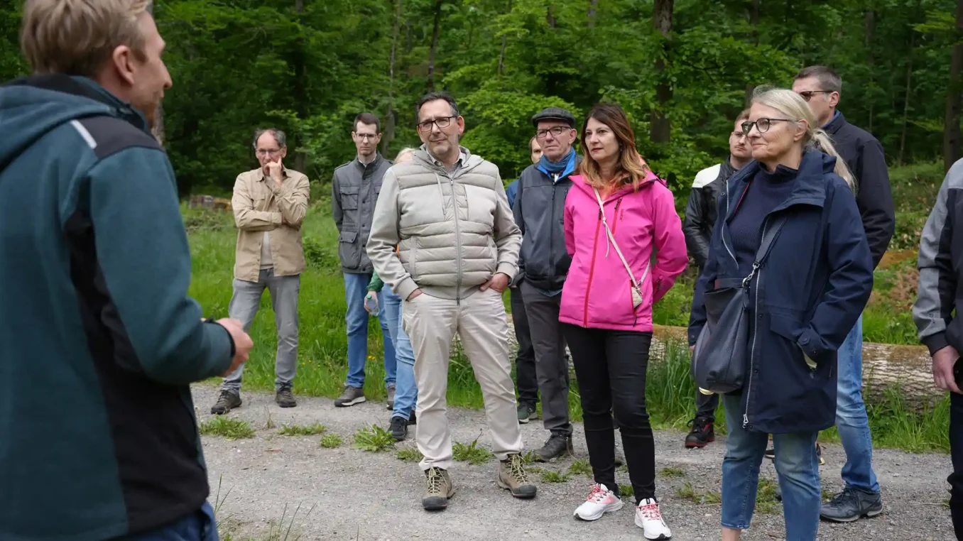 Waldbegehung des Gemeinderats